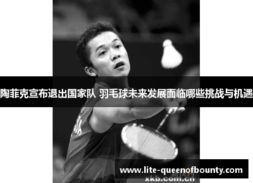 陶菲克宣布退出国家队 羽毛球未来发展面临哪些挑战与机遇